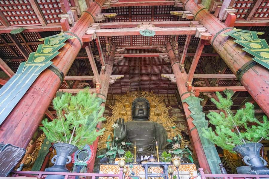 Nara: Half-Day UNESCO Heritage & Local Culture Walking Tour - Meeting at Kintetsu Nara Station
