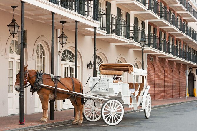 New Orleans Small-Group Haunted History Carriage Tour - Key things to know before booking