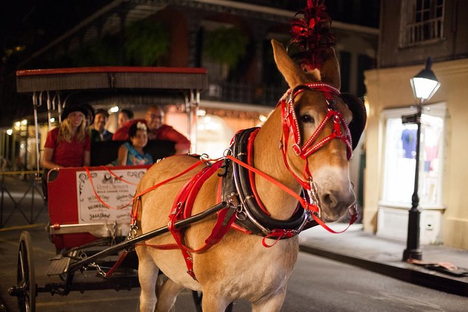 New Orleans Small-Group Haunted History Carriage Tour - The French Quarter’s pleasant streets and grim past