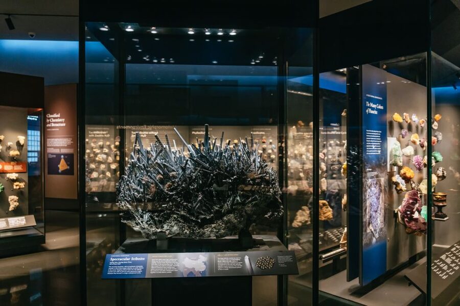 New York City: American Museum of Natural History Ticket - Who will get the most from this visit