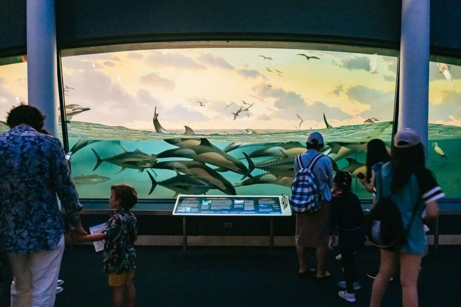 New York City: American Museum of Natural History Ticket - The Richard Gilder Center brings a newer feel