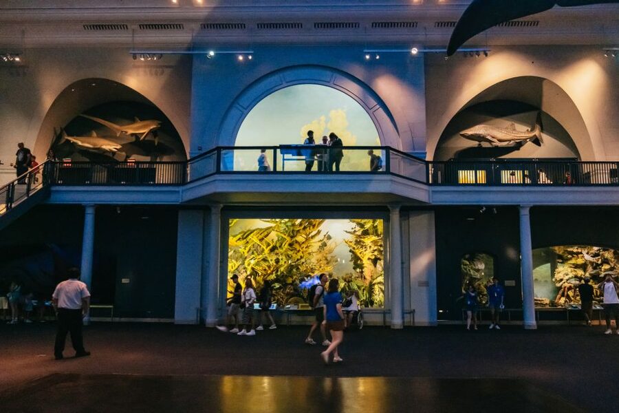 New York City: American Museum of Natural History Ticket - Planning your route through a very large building