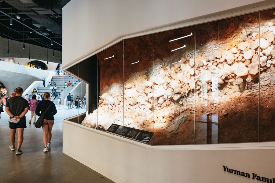 New York City: American Museum of Natural History Ticket - Crowds, comfort, and a realistic timetable
