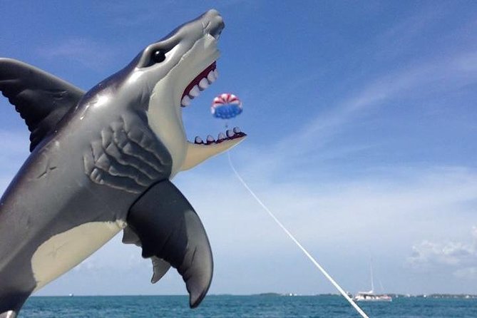 Parasailing over the Historic Key West Seaport - Who Will Enjoy This Most