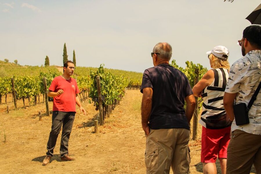 Porto: Douro Valley History & Wine Tour with Cruise & Lunch - Key points at a glance