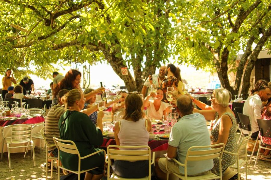 Porto: Douro Valley History & Wine Tour with Cruise & Lunch - Who should book this experience