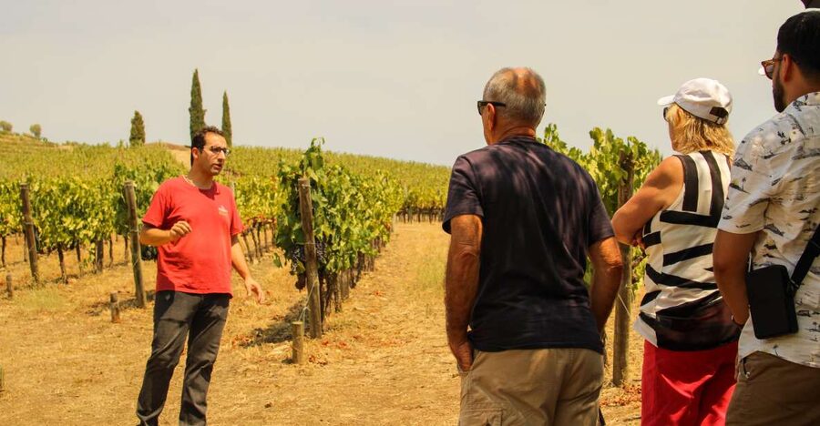 Porto: Douro Valley History & Wine Tour with Cruise & Lunch - Why this Douro Valley day works so well