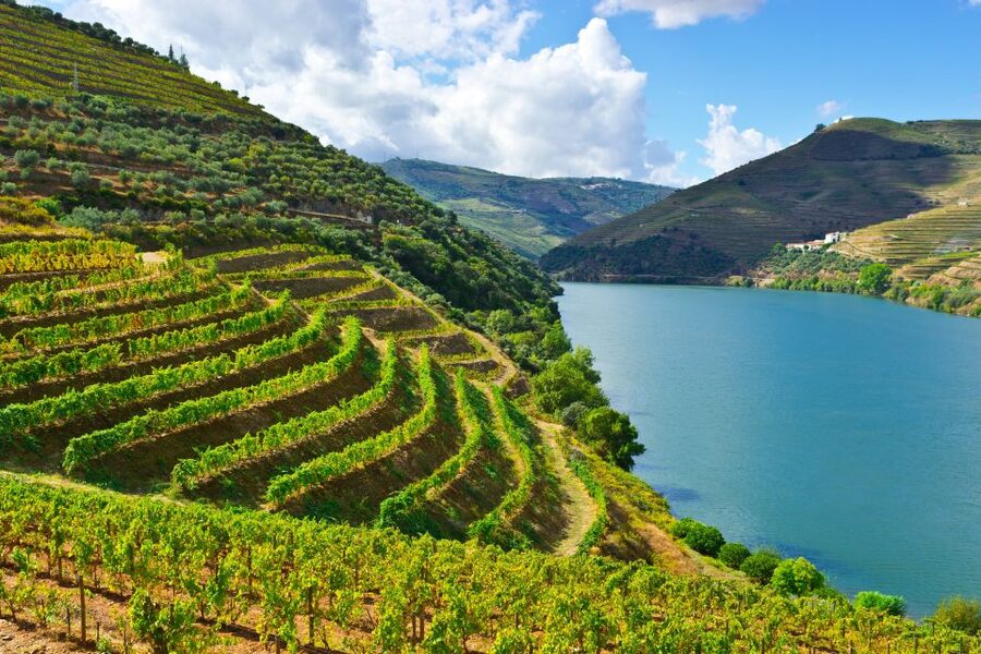 Porto: Douro Valley History & Wine Tour with Cruise & Lunch - São Leonardo da Galafura explains the Douro