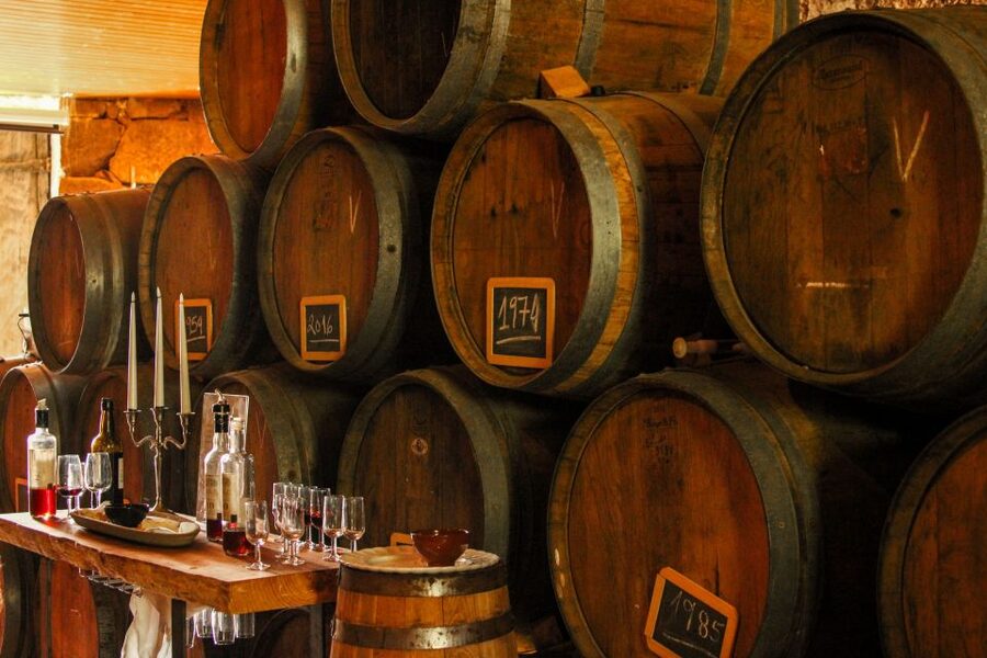 Porto: Douro Valley History & Wine Tour with Cruise & Lunch - A three-course lunch with Douro wine