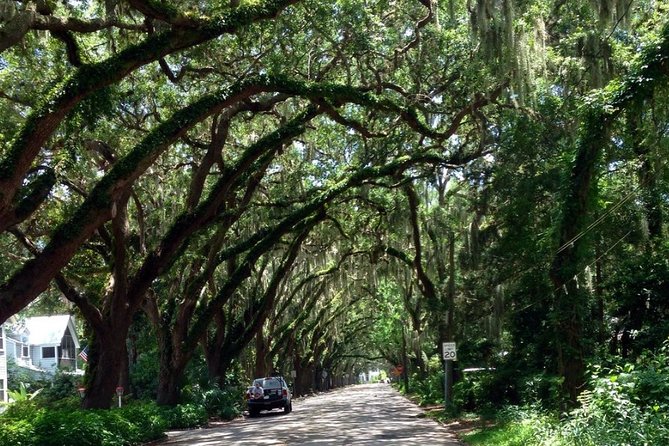 Private Guided Historic Electric Cart Tour of St. Augustine - Why the private format changes the experience