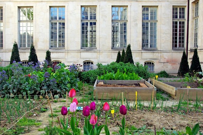 Private Half Day Historic Tour - Sainte-Chapelle, the Palais de Justice, and the Conciergerie