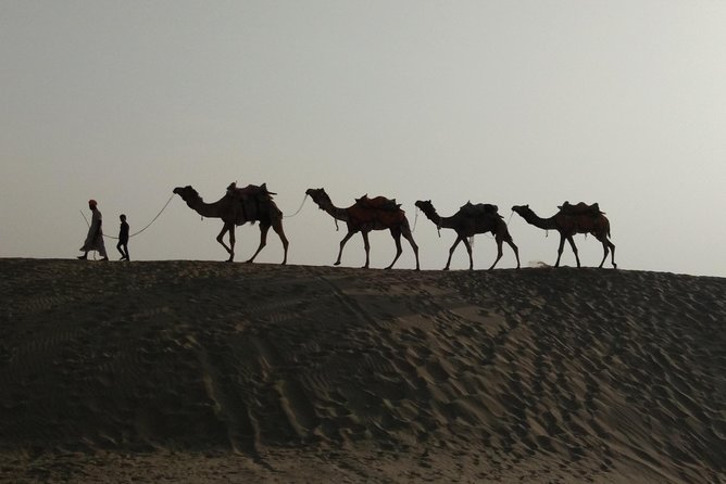 Private Heritage Walking Tour in Jaisalmer Fort and Old Bazaar - Nathmal Ji Ki Haveli and its unusual stonework