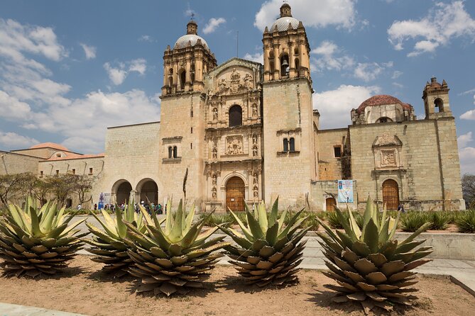 Private Historic City Tour + Street Food of Oaxaca - Best Rated - Mercado 20 de Noviembre is the heart of the food portion