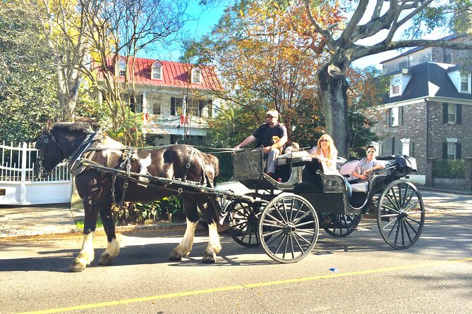 Private Historic Horse & Carriage Tour of Charleston - Why a carriage is a good first look at Charleston