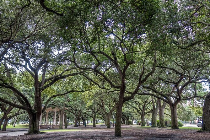 Private Historic Horse & Carriage Tour of Charleston - The guides are a major part of the value