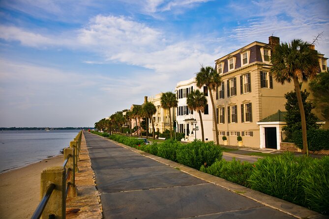 Private Historic Horse & Carriage Tour of Charleston - Horse care and comfort