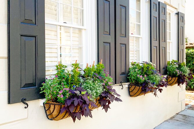 Private Historic Horse & Carriage Tour of Charleston - When this tour fits your Charleston plans