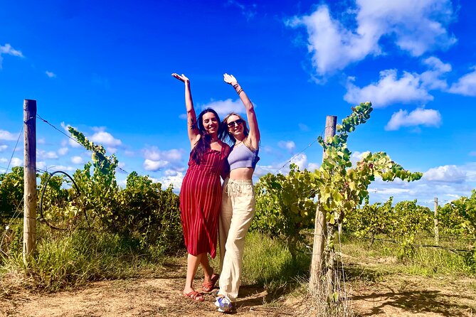 Private Lisbon-Arrábida Wine Tour: 3 Wineries, Coast & Heritage - Starting at Livramento Market in Setúbal