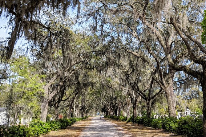 Private Tour of Savannah's Historic/Victorian Districts & Bonaventure Cemetery - Why this tour works well as your Savannah introduction