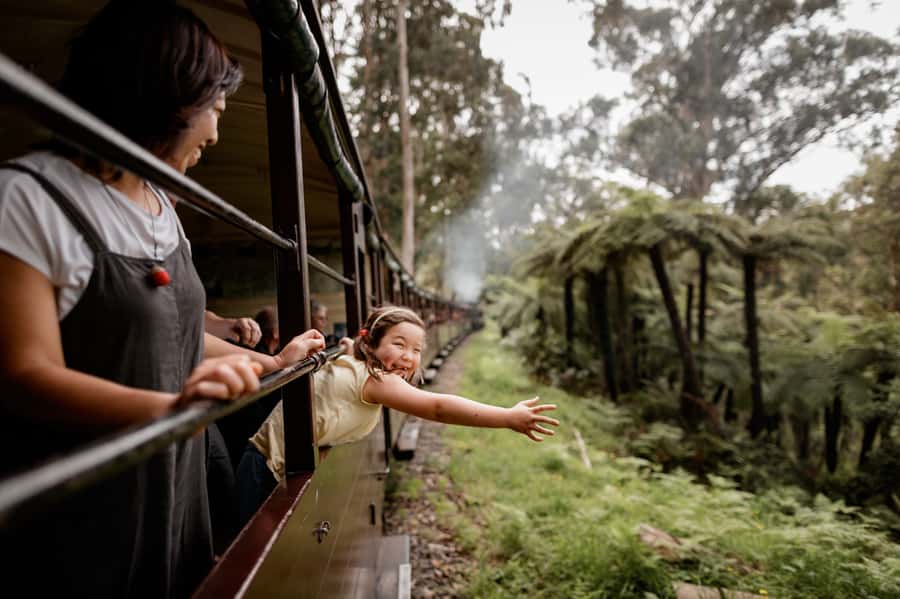 Puffing Billy Railway: Heritage Steam Train Journey - Why Puffing Billy feels different from an ordinary train ride