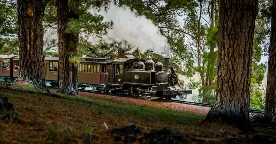 Puffing Billy Railway: Heritage Steam Train Journey - Boarding a preserved steam train