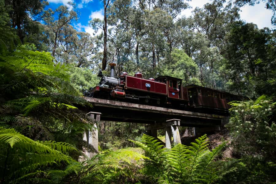 Puffing Billy Railway: Heritage Steam Train Journey - Through the Dandenong Ranges