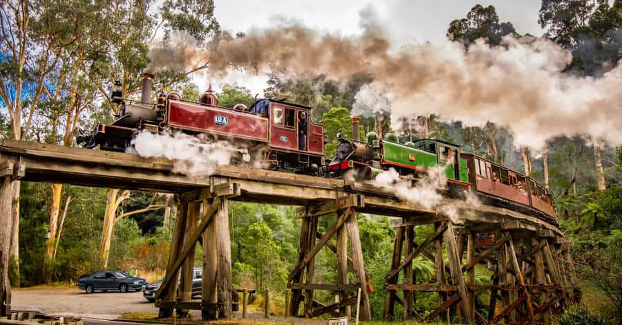 Puffing Billy Railway: Heritage Steam Train Journey - Who will enjoy this ride most?