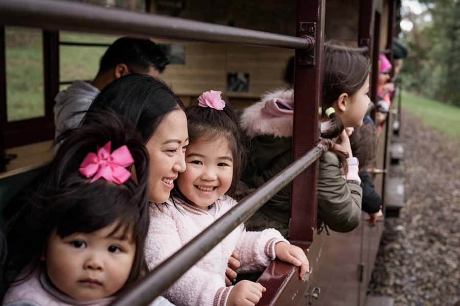 Puffing Billy Railway: Heritage Steam Train Journey - Practical ways to plan the day