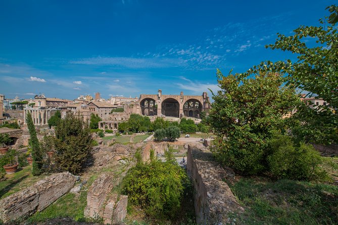 Rome: Colosseum Arena, Roman Forum & Palatine Hill Tour - What the $71.20 price really buys