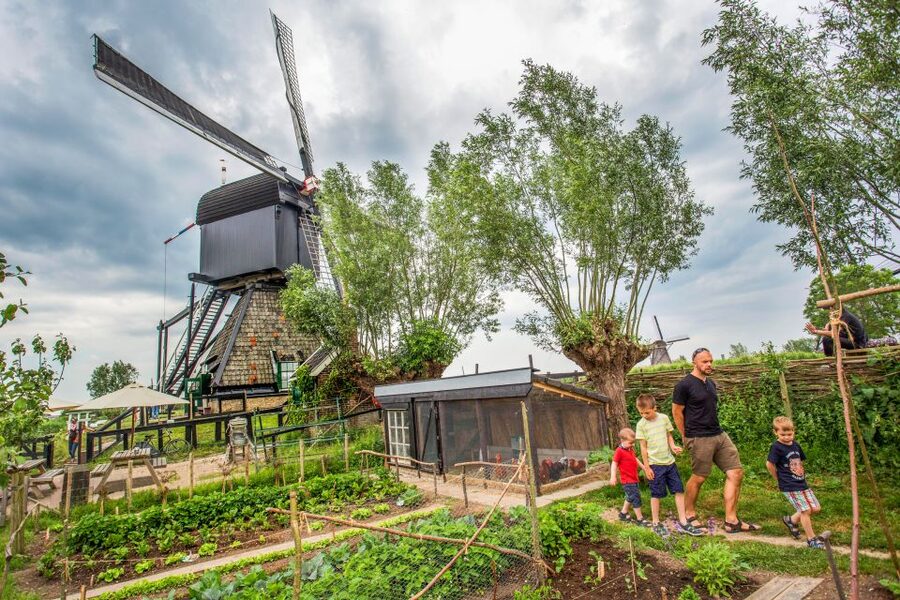 Rotterdam: Kinderdijk UNESCO World Heritage Entry Ticket - Arriving from Rotterdam and choosing your route