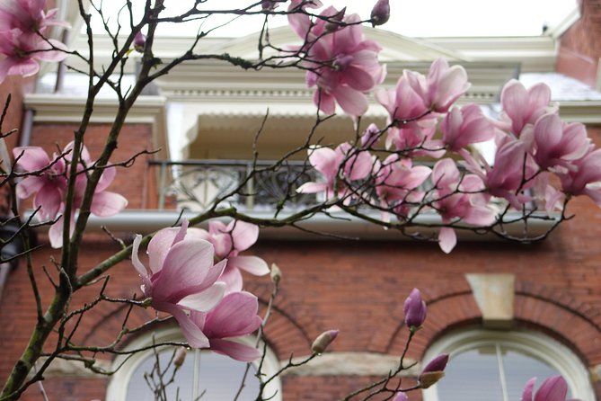 Savannah Historic District Walking Tour - Wright Square provides a useful pause