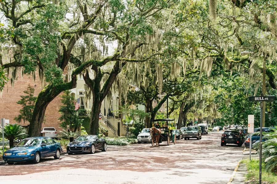 Savannah: Old Savannah Tours Historic Overview - Cobblestone streets, old trees, and grand homes