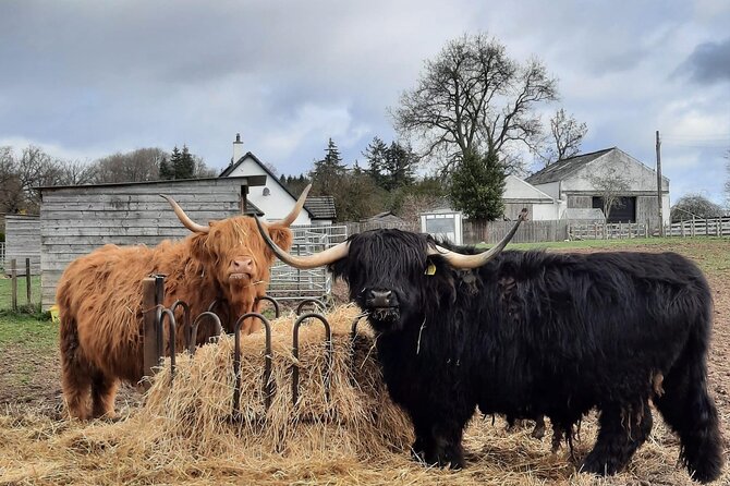 Scottish Whisky Distillery & Fairytale Dunrobin Castle - A north Highland day built around Dunrobin Castle