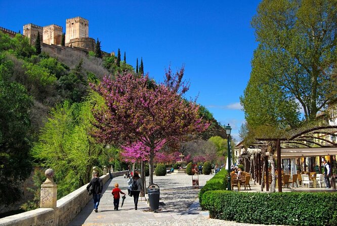 Segway Your Way Through Granada's History: The Ultimate Ride - Why a Segway works so well in Granada