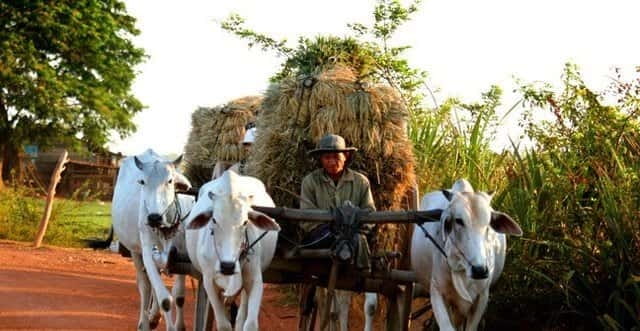 Siem Reap: 3-Hour Ancient Trails Motorbike Tour - Starting With Training and a Short Transfer