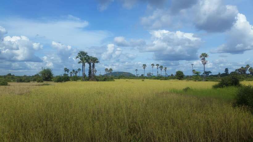 Siem Reap: 3-Hour Ancient Trails Motorbike Tour - What Guides Scott and Chiwa Add