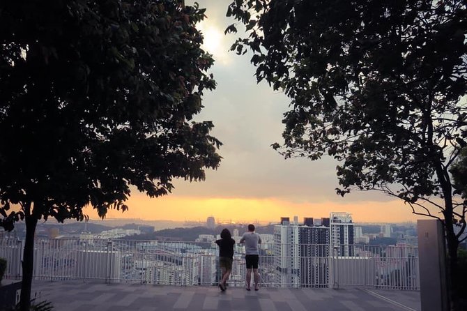 Singapore Group History & Culture Walking Tour - Price, pace, and who gets the best value