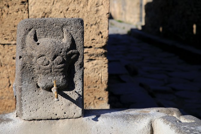 Skip-the-Line Half-Day Private Tour Ancient Pompeii Highlights with Native Guide - Why two hours can work at Pompeii
