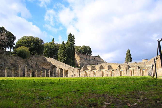 Skip-the-Line Half-Day Private Tour Ancient Pompeii Highlights with Native Guide - Meeting at Piazza Esedra