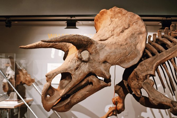 Smithsonian Museum of Natural History - Exclusive Guided Tour - Dinosaurs, birds, and the surprising story of extinction