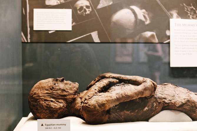 Smithsonian Museum of Natural History - Exclusive Guided Tour - Ocean Hall, coral, and Phoenix the whale