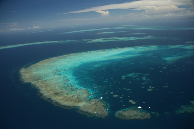 Snorkel & Dive the Reef: Sustainable, Scientific & Cultural Tour - Lunch, tea, and the true cost of the day