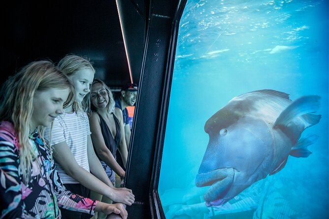 Snorkel & Dive the Reef: Sustainable, Scientific & Cultural Tour - What works best for different types of visitors