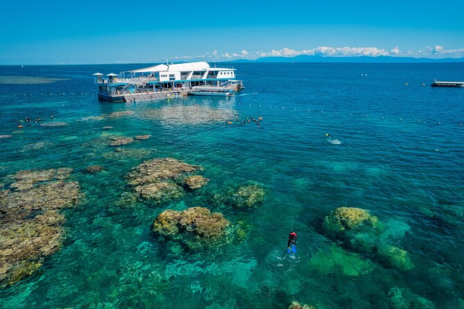 Snorkel & Dive the Reef: Sustainable, Scientific & Cultural Tour - Snorkeling for beginners, older swimmers, and confident swimmers