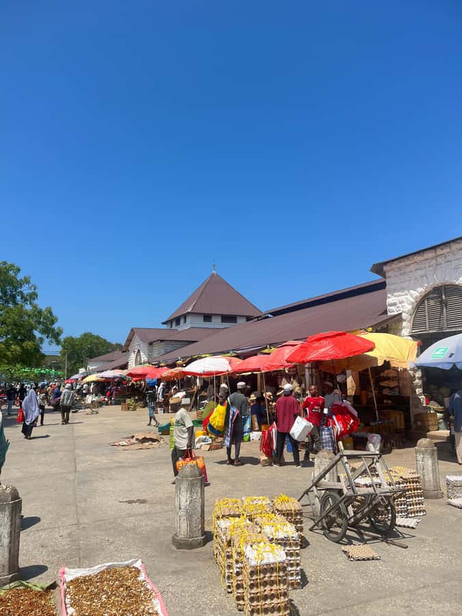 Stone Town's Hidden History: Private Guided Walking Tour - Darajani Bazaar and Stone Town’s everyday rhythm