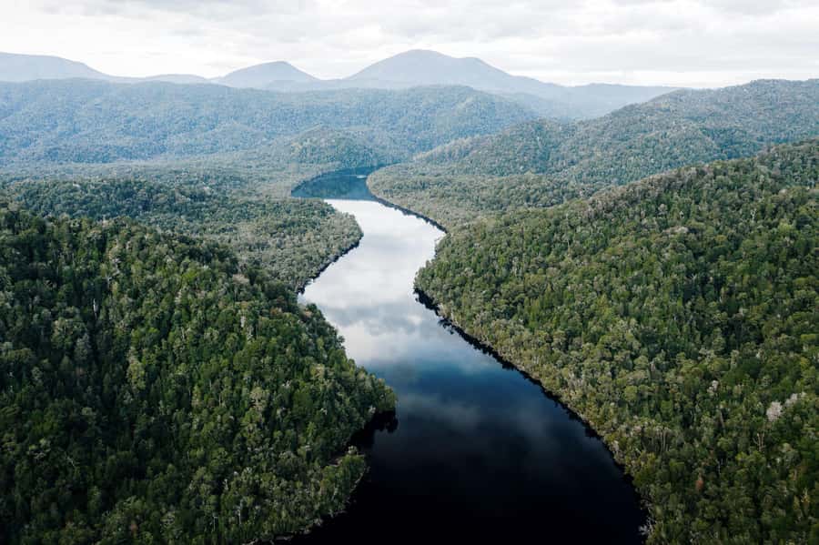 Strahan: World Heritage Cruise on Gordon River with Lunch - The Gordon River and Heritage Landing rainforest
