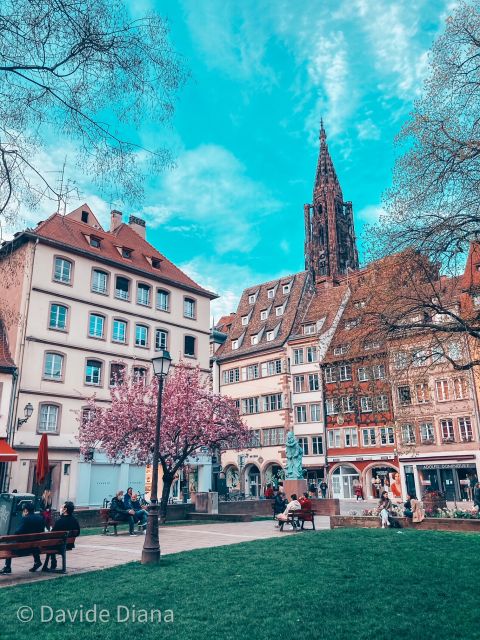 Strasbourg: Guided Historical Neighborhoods Walking Tour - Place Kléber and the famous Christmas tree