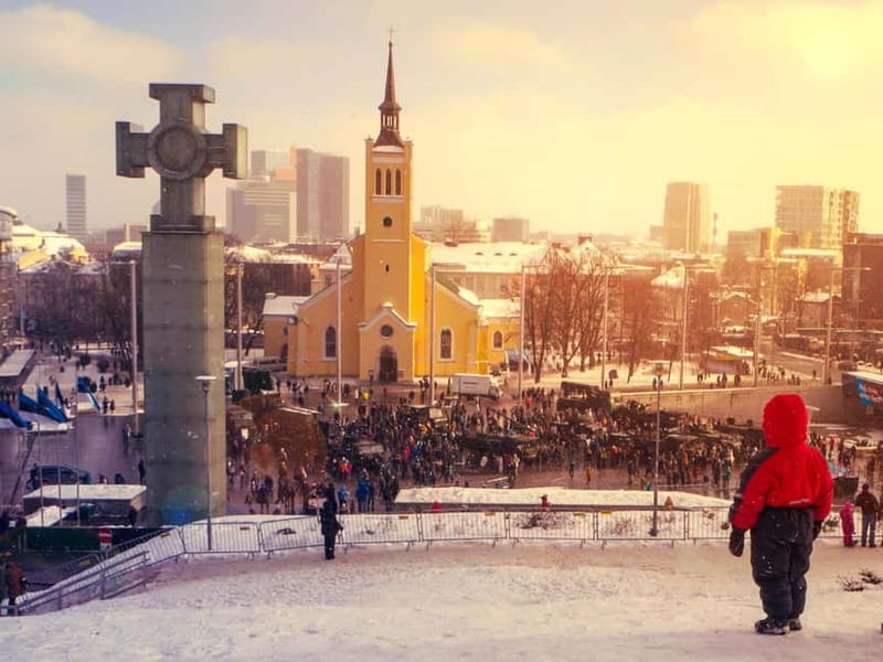 Tallinn: Guided Old Town Historical Walking Tour - Toompea’s churches and the two great viewpoints