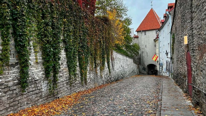 Tallinn: Guided Old Town Historical Walking Tour - Who should book this Tallinn walking tour