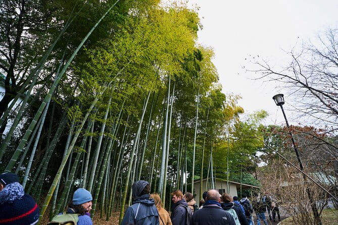 Tokyo Castle & Imperial PalaceーShogun Walking Tour - Sakurada Tatsumi Yagura and the castle’s first warning